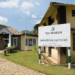 Музей чая