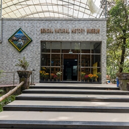 Бенгальский музей естествознания 