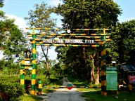 Gorumara Nationalpark
