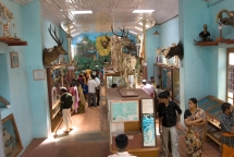 museo shenbaganur