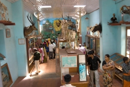 Shenbaganur Museum
