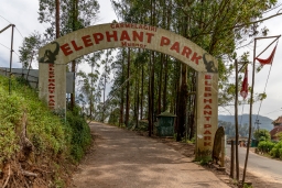 Парк слонов Кармелагири 