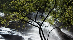Killiyur Wasserfall 