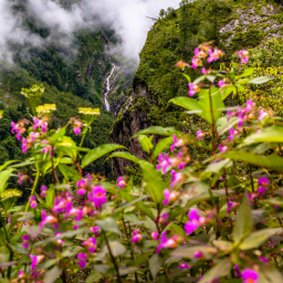 Valley of Flowers and Nanda Devi National Park