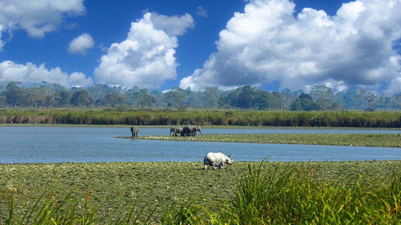 kaziranga-national-park-assam-state-hero