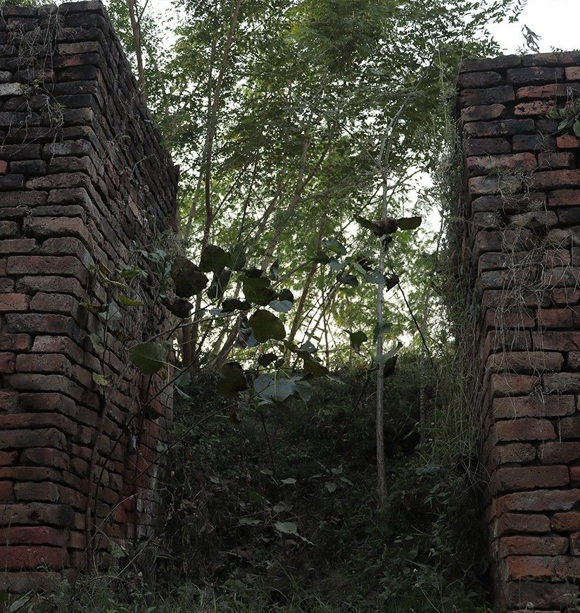 1-ruins-of-telhara-nalanda-bihar-attr-homepag