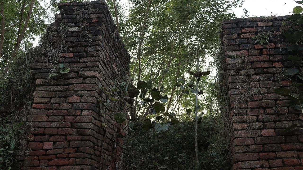 ruins-of-telhara-nalanda-bihar-attr-hero