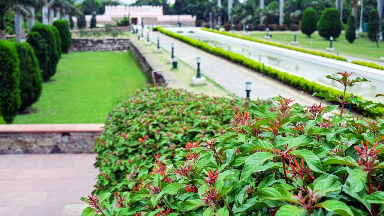 pinjore-gardens-chandigarh-punjab