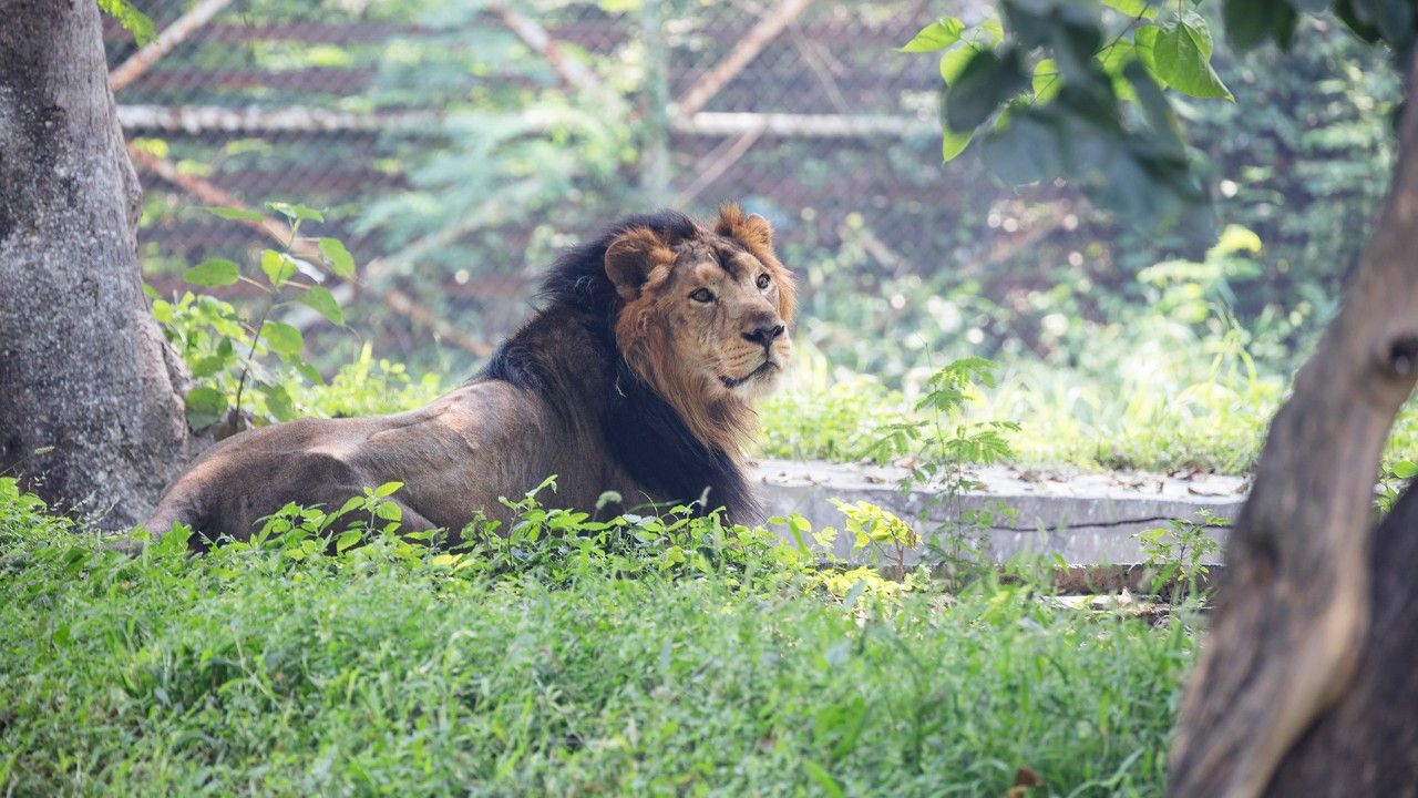 the-national-zoological-park-delhi2-attr-hero