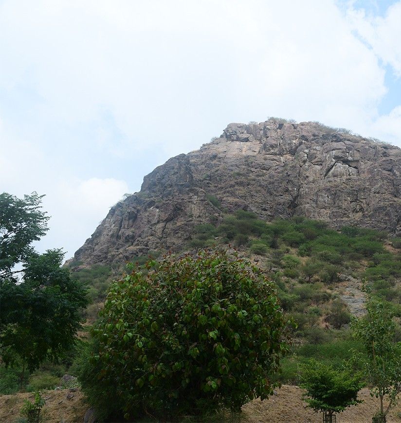tosham-rock-inscription-hisar-haryana-ast-1-attr-homepag