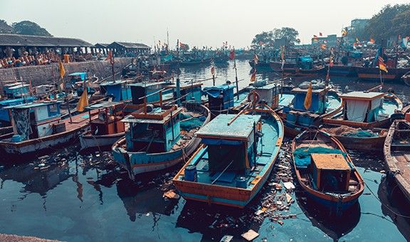 Sassoon Docks fish market in Mumbai