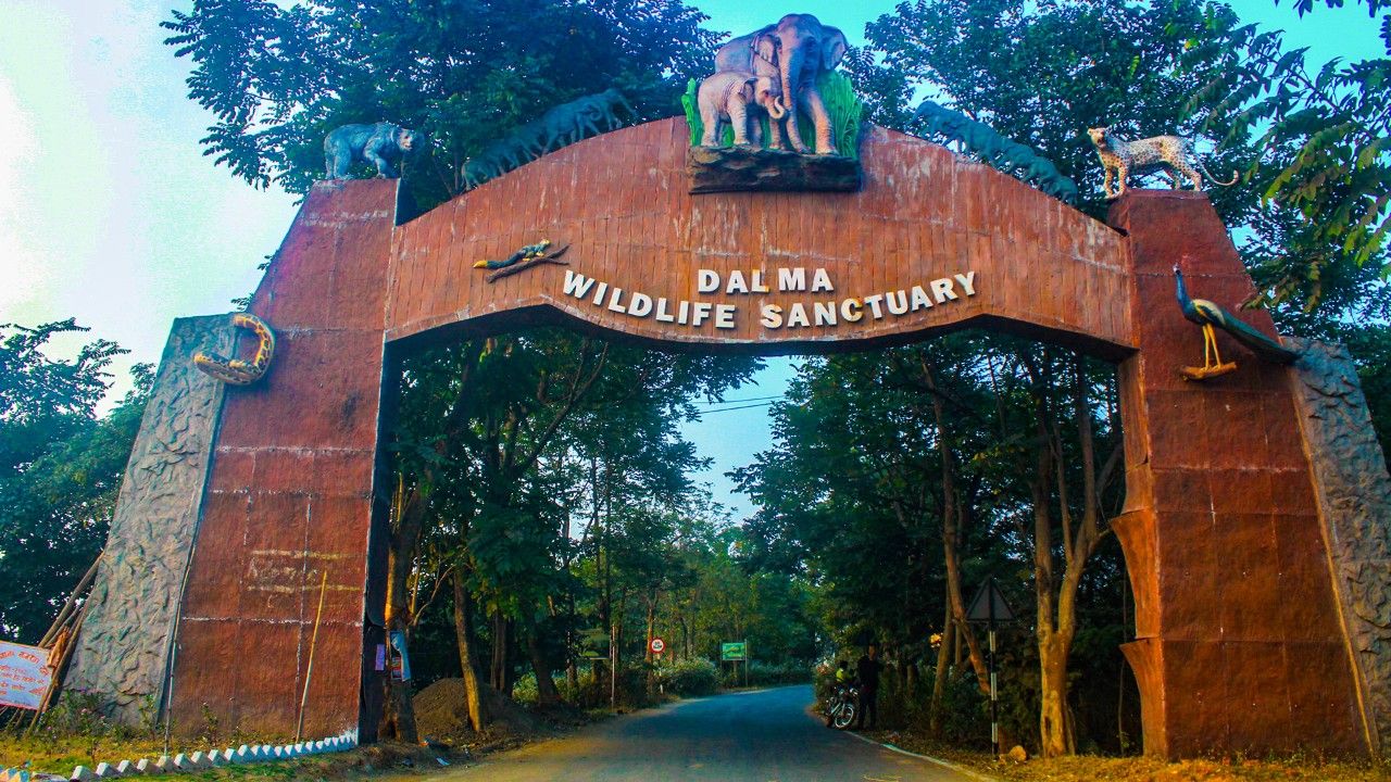 dalma-wildlife-sanctuary