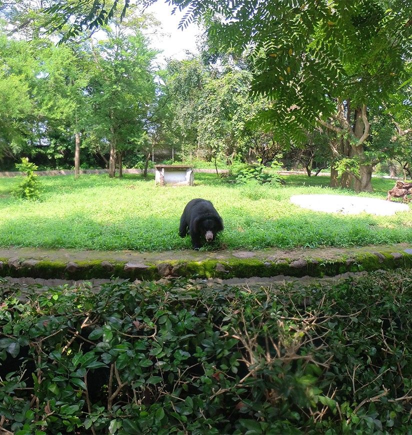 tata-steel-zoological-park-jamshedpur-jharkhand-city-ff