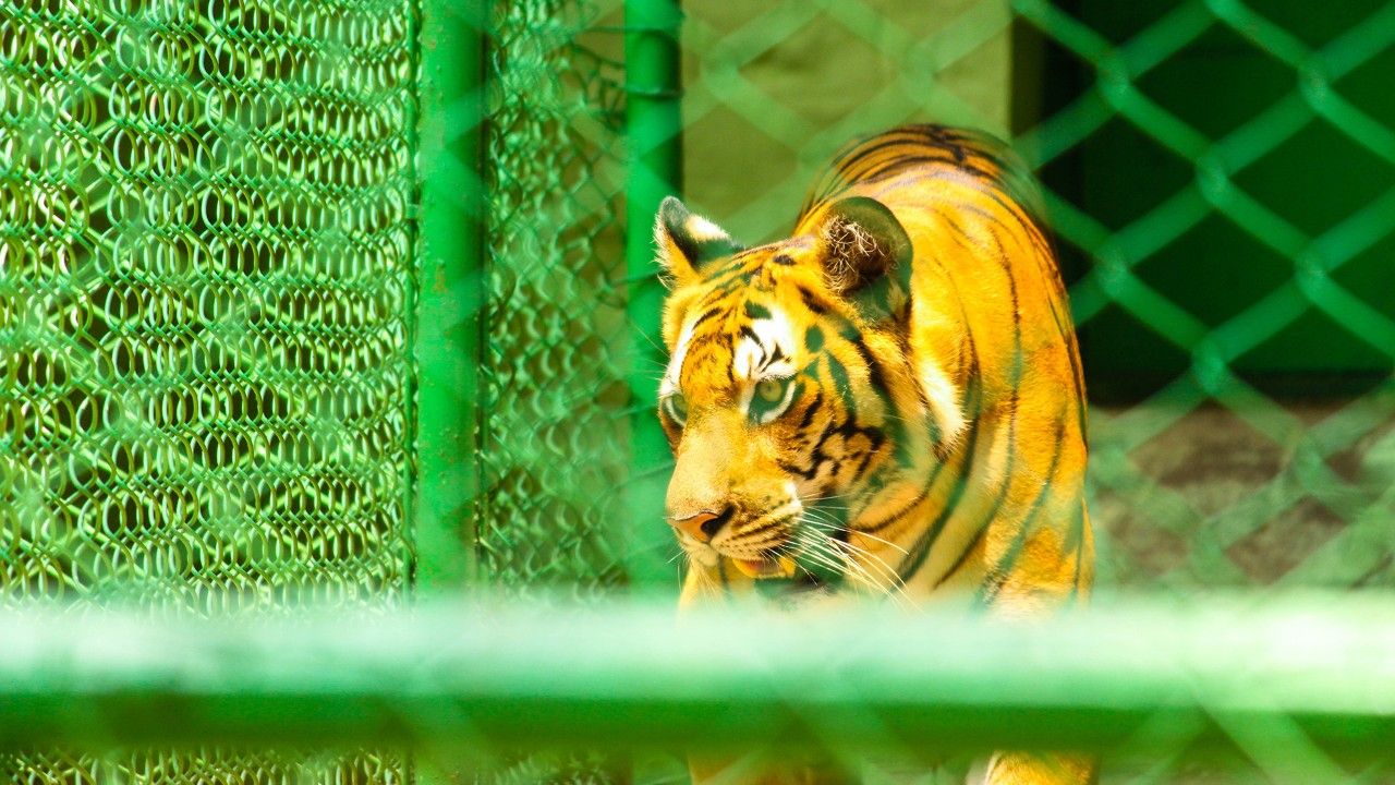 1-birsa-zoological-park-ranchi-jharkhand-attr-hero