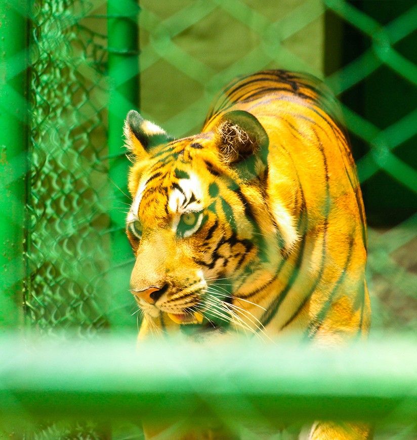 birsa-zoological-park