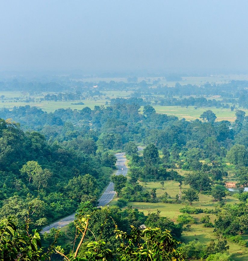 Forest Landscape Of Jharkhand