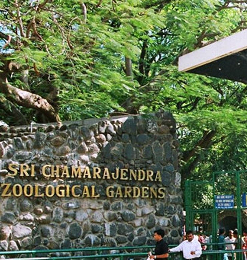 mysuru-zoo