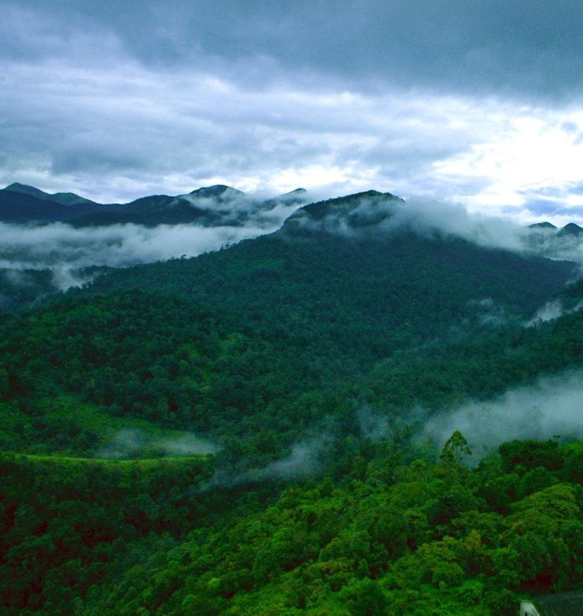 1-silent-valley-national-park-palakkad-kerala-attr-homepag