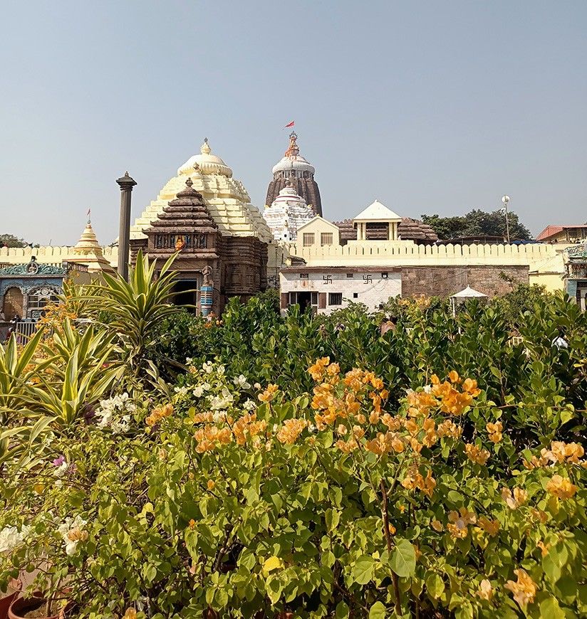 sri-jagannath-temple-puri-odisha-4-city-body