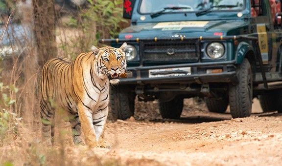 jeep-safari-alwar-rajasthan-blog-ntr-exp-cit-pop