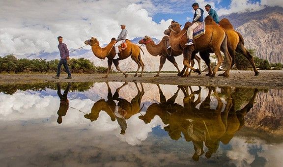 camel-safari-bikaner-rajasthan-blog-adv-exp-cit-pop