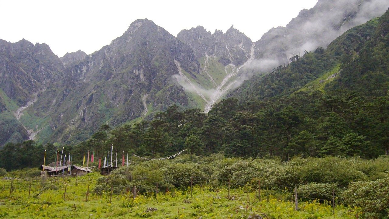 shingba-rhododendron-sanctuary-lachung-sikkim-2-attr-hero