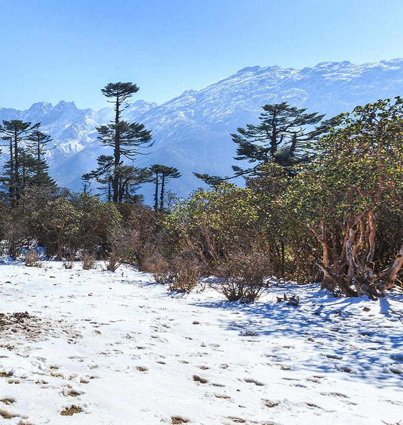 khangchendzonga-national-park-pelling-sikkim-1-attr-homepag