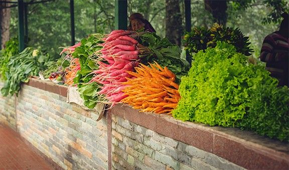 fresh-vegetables-pelling-sikkim-blog-gas-exp-cit-pop