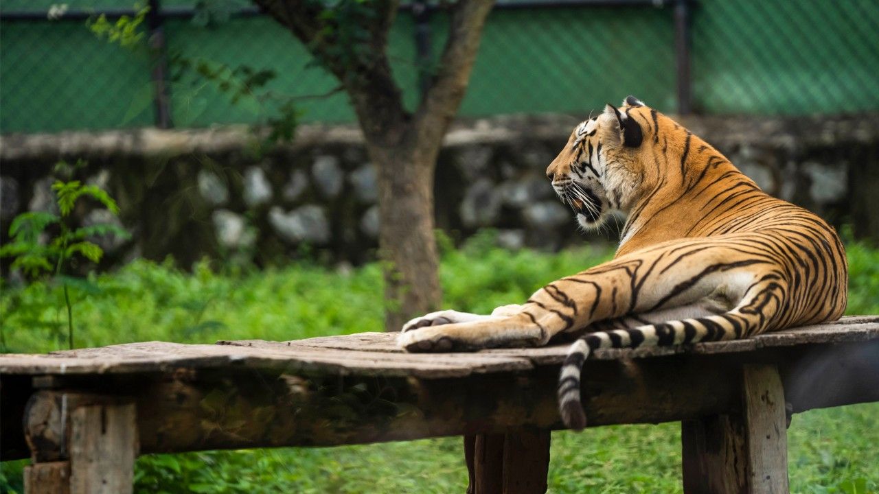 arignar-anna-zoological-park-chennai-tamil-nadu-1-new-attr-hero