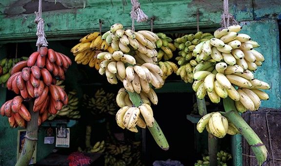 1-banana-market-madurai-tamil-nadu-blog-sho-exp-cit-pop