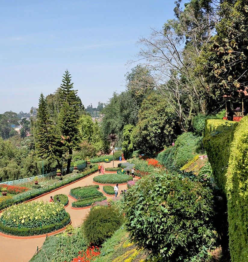 government-botanical-gardens-ooty-city-body