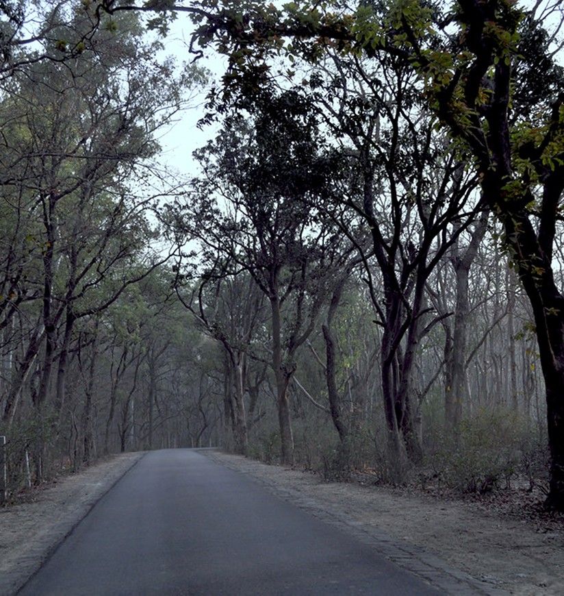 kukrail-reserve-forest-lucknow
