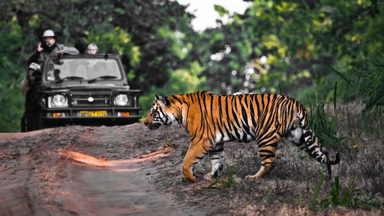 2-kalagarh-tiger-reserve-lansdowne-uttrakhand-attr-hero