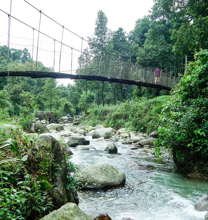 neora-valley-national-park-kalimpong