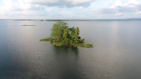 lago dumboor