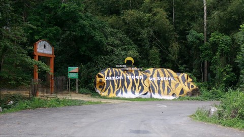 Réserve de tigres de Dampa 
