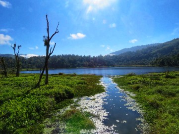 Palak Dil (Lac) 