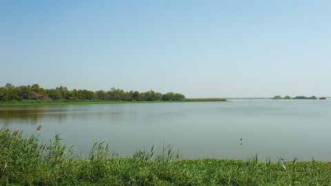 哈里克湿地和鸟类保护区