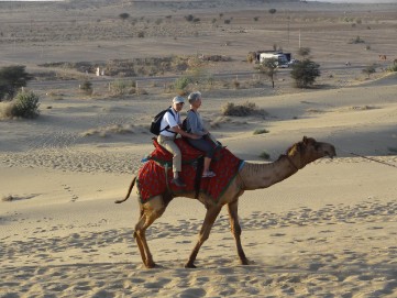 骆驼之旅