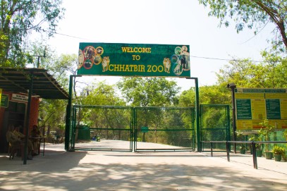 zoológico chhatbir