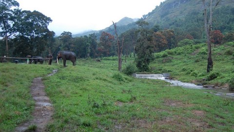 santuario de vida salvaje anamalai