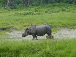Национальный парк Джалдапара 