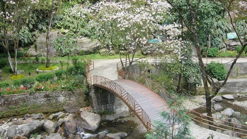 Сад камней и парк Ганга Майя 