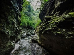 강도의 동굴