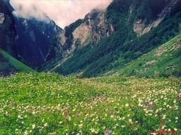 Valley-of-Flowers-Nationalpark 