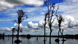 Tourist Places to Visit in Dibrugarh