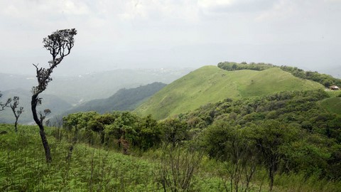 Parc national de Sirohi 