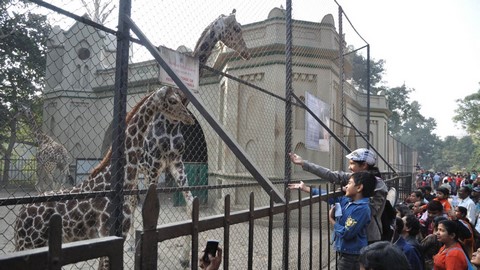 알리포르 동물원