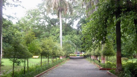 حديقة حيوان مهراج باغ