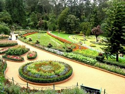Les jardins botaniques du gouvernement 
